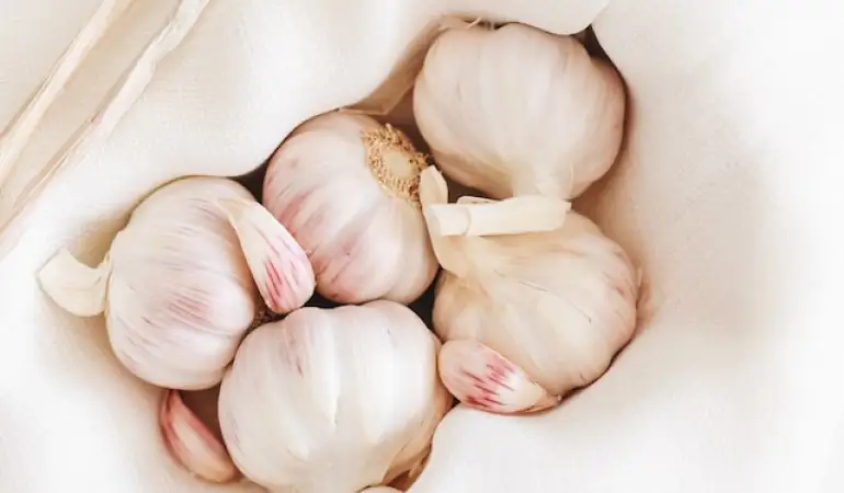What Are the Benefits of Garlic?
