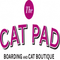 Welcome to The Cat Pad - Cat boarding Prahran Melbourne