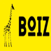 Boiz Nakliyat Asansörü İmalatı